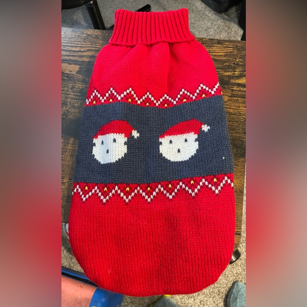 Festive Red Santa Cat/small dog Sweater